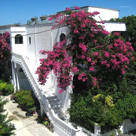 Rosmari Hotel Archangelos (Rhodes)